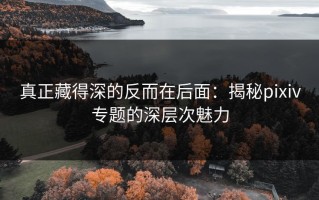 真正藏得深的反而在后面：揭秘pixiv专题的深层次魅力