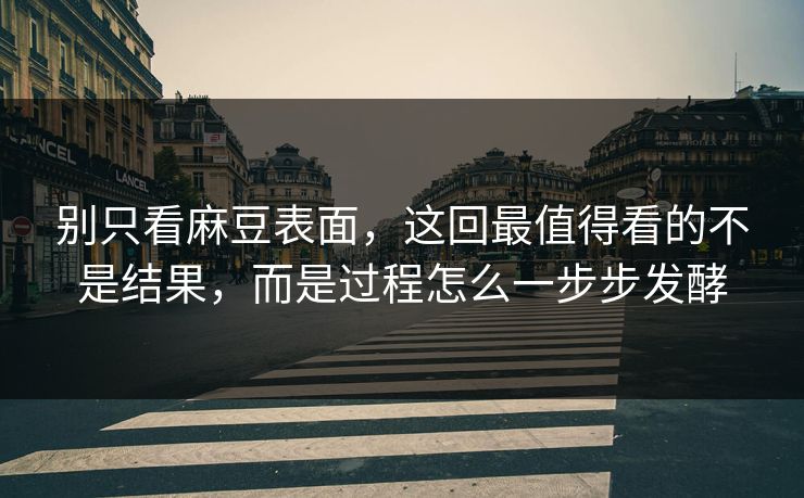 别只看麻豆表面，这回最值得看的不是结果，而是过程怎么一步步发酵-第1张图片-p站搬运工影视库 - p站助手短剧集