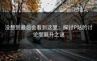 没想到最后会看到这里：探讨P站的讨论度飙升之谜