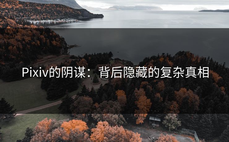 Pixiv的阴谋:背后隐藏的复杂真相-第1张图片-p站搬运工影视库 - p站助手短剧集 Pixiv的阴谋:背后隐藏的复杂真相-第1张图片-p站搬运工影视库 - p站助手短剧集