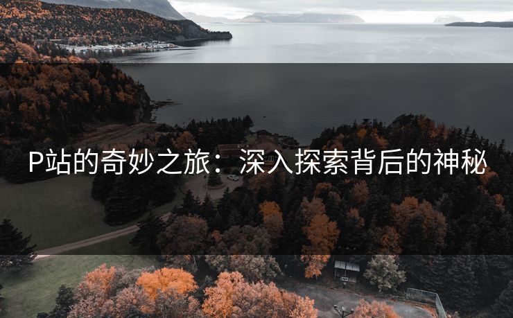 P站的奇妙之旅：深入探索背后的神秘-第1张图片-p站搬运工影视库 - p站助手短剧集